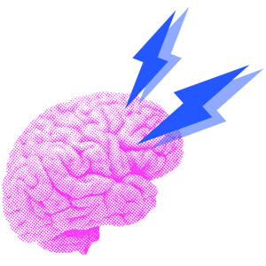 brain