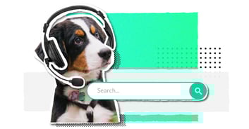Knowledge searchability